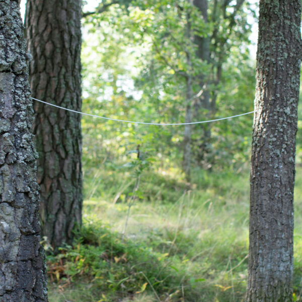 Verhovaijeri
