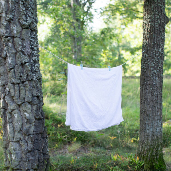 Verhovaijeri