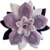 Violetti