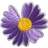 Violetti